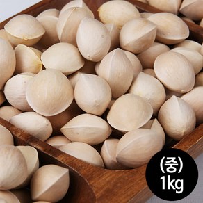 전대표 공주 피은행(대 중 소) 국내산 ginkgo nut, 1개, 피은행2호(중)1kg