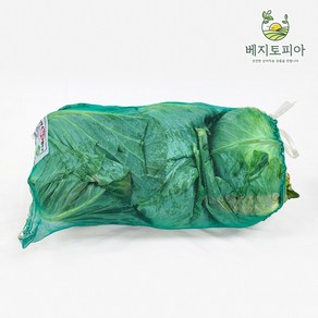 국내산 빅사이즈 특급 양배추 3통 10kg 내외 산지직송 업소용 대용량 벌크, 3통 10kg내외, 3개, 3kg