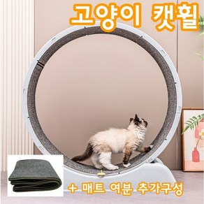 와이비 저소음 플라스틱 고양이 캣휠, 1개, 연그레이+추가매트