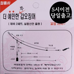 정음사 갑오징어 가지채비 가지줄 쭈갑 채비 더 예민한 국내생산, 30cm, 1개