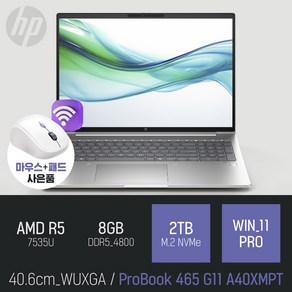 HP 프로북 465 G11 A40XMPT [사은품 증정], WIN11 Po, 8GB, 2TB, 실버