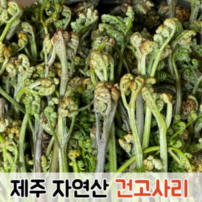 [향이 좋은] 제주산 건 고사리 100g (1봉 2봉 3봉) / 건고사리 제주산건고사리 제주건고사리 고사리 국산건고사리 국산고사리 말린고사리 건고사리국산 국산고사리말린 제주고사리, 1개