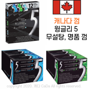 캐나다껌 윙글리5 껌﻿ Wrigleys 5 Sugar free Gum