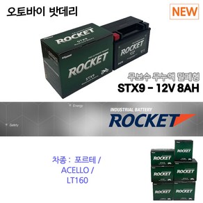 오토바이배터리 12V8AH 포르테ACELLO/LT160, 1개, 1개입