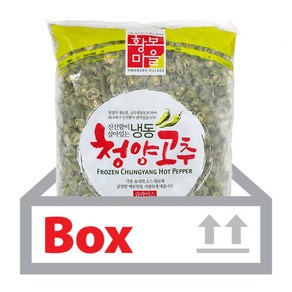 황보마을 냉동청양고추 1kg x 10개(박스), 10개