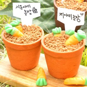 화분까지 먹는 당근젤리 미니 수제 컵 케이크 만들기 키트 DIY