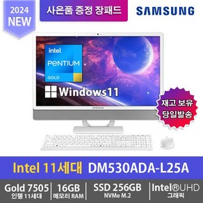 삼성전자 올인원PC DM530ADA-L25A, 256GB, 선택안함, 16GB