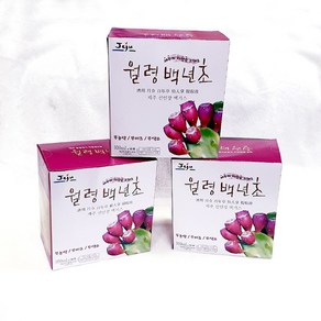 제주 백년초 열매 엑기스 (열매즙) 100ml * 30포