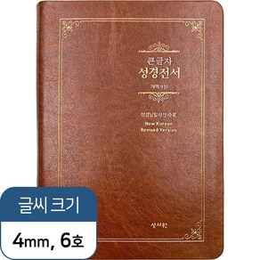 성경전서 NKR73ESB 개역개정 /대/단본/색인/지퍼/브라운