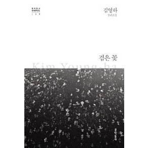 [문학동네]검은 꽃 - 문학동네 한국문학전집 17 (양장), 문학동네, 김영하