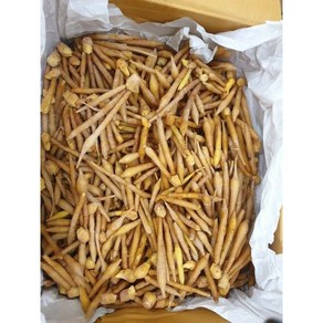 생핑거루트 태국산 갖차이 까차이 500g