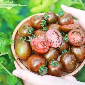 흑 대추 방울토마토 농장직송, 1박스, black tomato 2kg