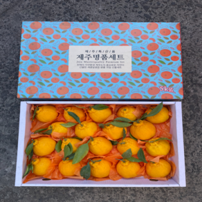 [고당도엄선] 고급 과일 선물 세트 제주 한라봉 레드향 천혜향 선물세트, 3호, 1세트