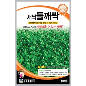 새싹 들깨싹 씨앗 4500립 / 새싹 씨앗 종자 텃밭키우기 채소키우기, 1개