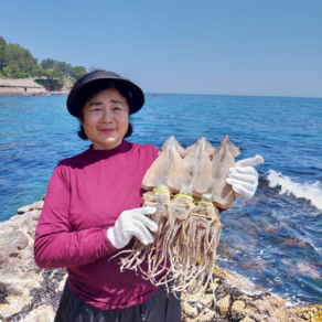 오징어엄마 원양산 마른오징어 건오징어 건조오징어