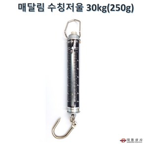 현대계기(대동상사) 매달림저울 수칭저울 20kg 30kg 50kg, 30kg(250g), 1개