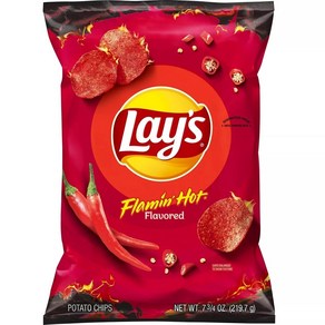 레이즈 플레이밍 핫 감자칩 1개 Lay's Flamin' Hot Potato Chips