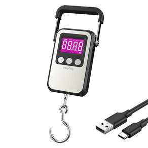 Riwonas 휴대용 디지털 손저울 여행 캐리어 택배 낚시고리 수화물 무게 측정 60kg/10g, 1개, MC-35/화이트   충전식