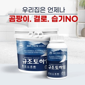 규조토하임 페인트타입 10Kg (색상선택) 결로방지페인트 베란다 벽지 친환경 단열 곰팡이방지페인트