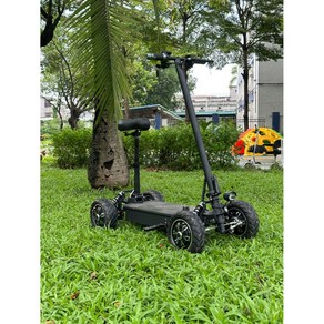 접이식 전동킥보드 초경량 대리기사 앉아서타는 4륜 킥보드, 성인용 800W 15-25km, 36V, 1개