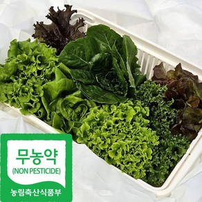 산지직송 친환경 유러피안 샐러드 야채 채소, 1박스, 1kg