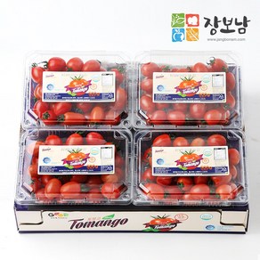 장보남 스테비아 대추 방울토마토, 1박스, 2kg(500gx4팩)