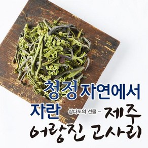 eTV 24년 햇 제주 어랑진 햇고사리 900g (300g*3팩), 300g, 3개