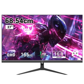 디엑스 69cm QHD 165Hz 게이밍 컴퓨터 모니터 DX270QHD165, DX270QHD165(무결점)