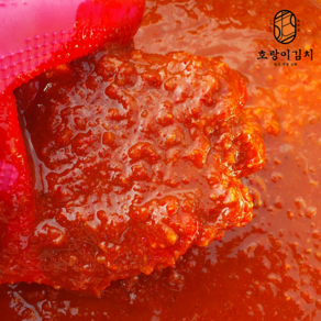 호랑이김치 국산 김치 겉절이 양념 1kg, 1개