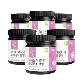 두손애약초 유기농 아로니아 분말, 6개, 200g