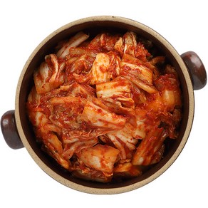 고려명가 경상도식 맛김치 배추겉절이 썰은김치