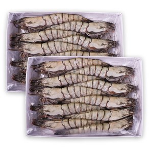 바른씨 블랙타이거새우 10마리 500g 1+1 대하, 2개