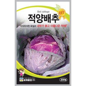 적양배추200립 씨앗 세계