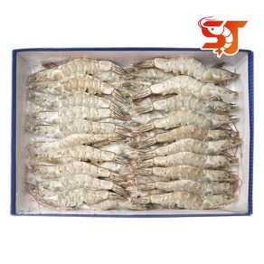 콜딩 세종푸드시스템 흰다리새우 500g (냉동대하), 40개