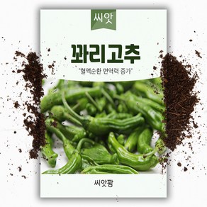 꽈리고추 씨앗(50립)