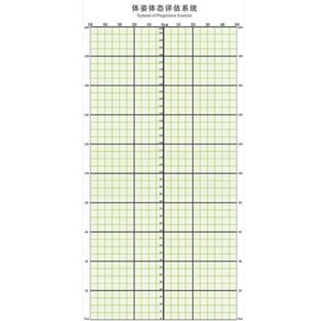 체형분석스크린 비만 분석표 평가표 헬스장 격자 필라테스 스크린, 가로 1.1m x 세로 2.2m(검은색 ), 1개