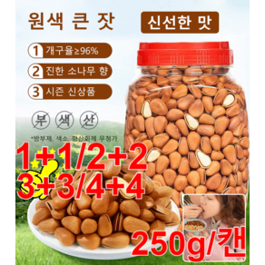 1/1+1 [인기 아이템] 백년 수령 홍송 잣 내추럴 소나무 향 볼륨한 잣 개구율96%/ 진한 소나무 향/시즌 신상품, 250g/캔*2+2, 250g, 4개