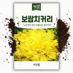 보쌈 치커리씨앗(1500립)