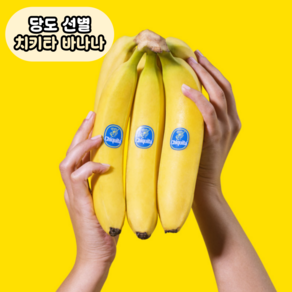 [백화점납품] 고당도 치키타 바나나, 1박스, [로얄] 1송이 (1.3 kg)