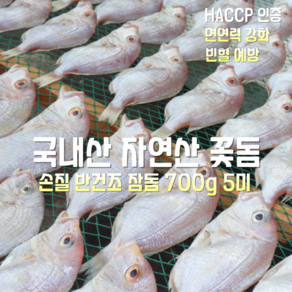 국내산 자연산 동해안 손질 반건조 참돔 (꽃돔) 700g 5미, 1박스