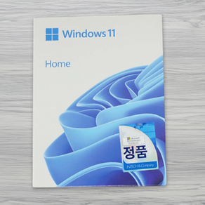 마이크로소프트 Windows 11 Home FPP 한글