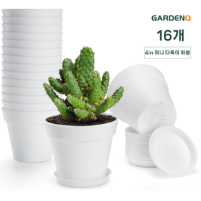 GARDENQ 플라스틱 화분 국제 스탠다드 화분 예쁜 다육이식물 화분세트 다육이화분 10cm 16p 작은 미니 화분/15.5cm 10p 중형 화분+ 트레이, 16개, 화이트