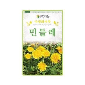 (DN) 민들레 씨앗(500립), 1개