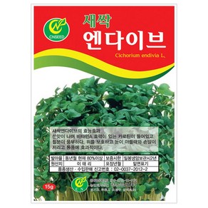 엔다이브 새싹 씨앗 키우기 재배 15g, 1개