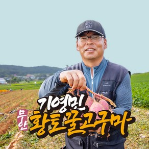 [착한농부] 기영민 무안 황토땅 꿀고구마 10kg #이렇게 달수가, 특상혼합 5kg (90-300g이내), 1개