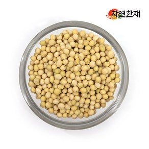 자연한재 2024년산 국산 콩나물콩 유태, 1팩, 500g