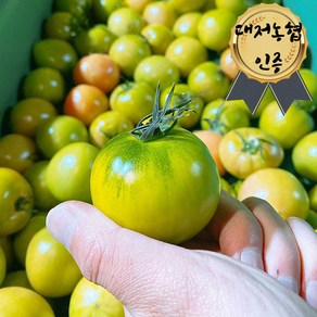 [대저농협인증]달콤짭짤 단짠단짠 대저 짭짤이 토마토 프리미엄과 특품 M, 1박스, 5kg