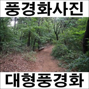 A654/명화/풍경사진/풍경화/숲사진/숲속사진