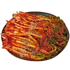 돌쇠네 국내산 재료로 갓 담근 여수 쪽파 파김치, 1개, 1kg