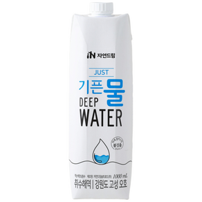 자연드림 종이팩 해양심층수 JUST 기픈물, 1L, 12개